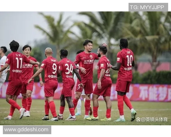 南京足球队的运营策略解析与发展前景展望